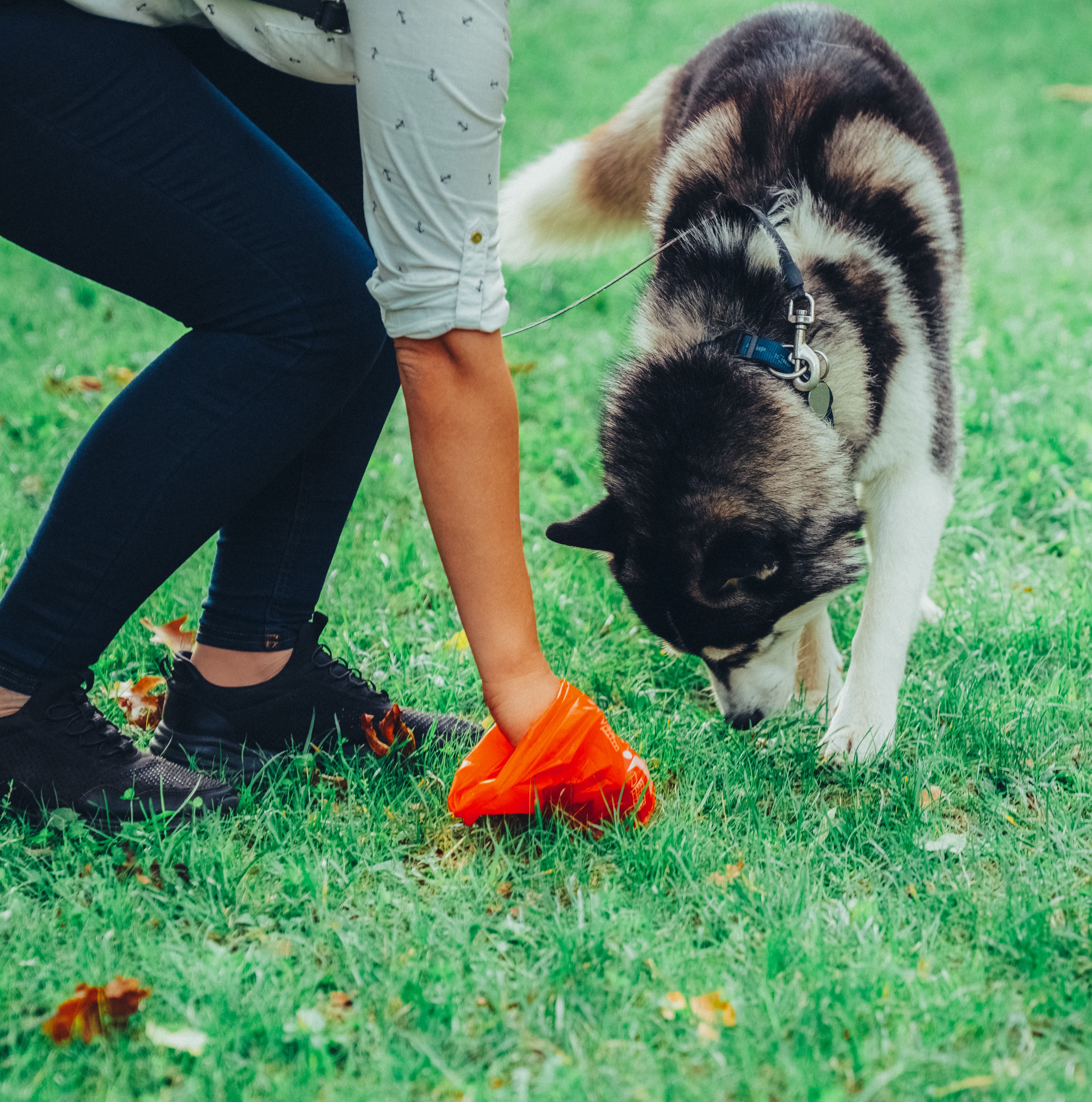 Cleaning & Odor Control