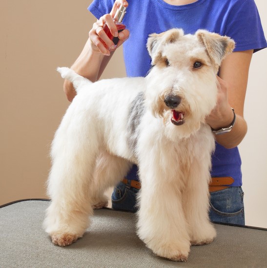 Pet Colognes & Deodorizers