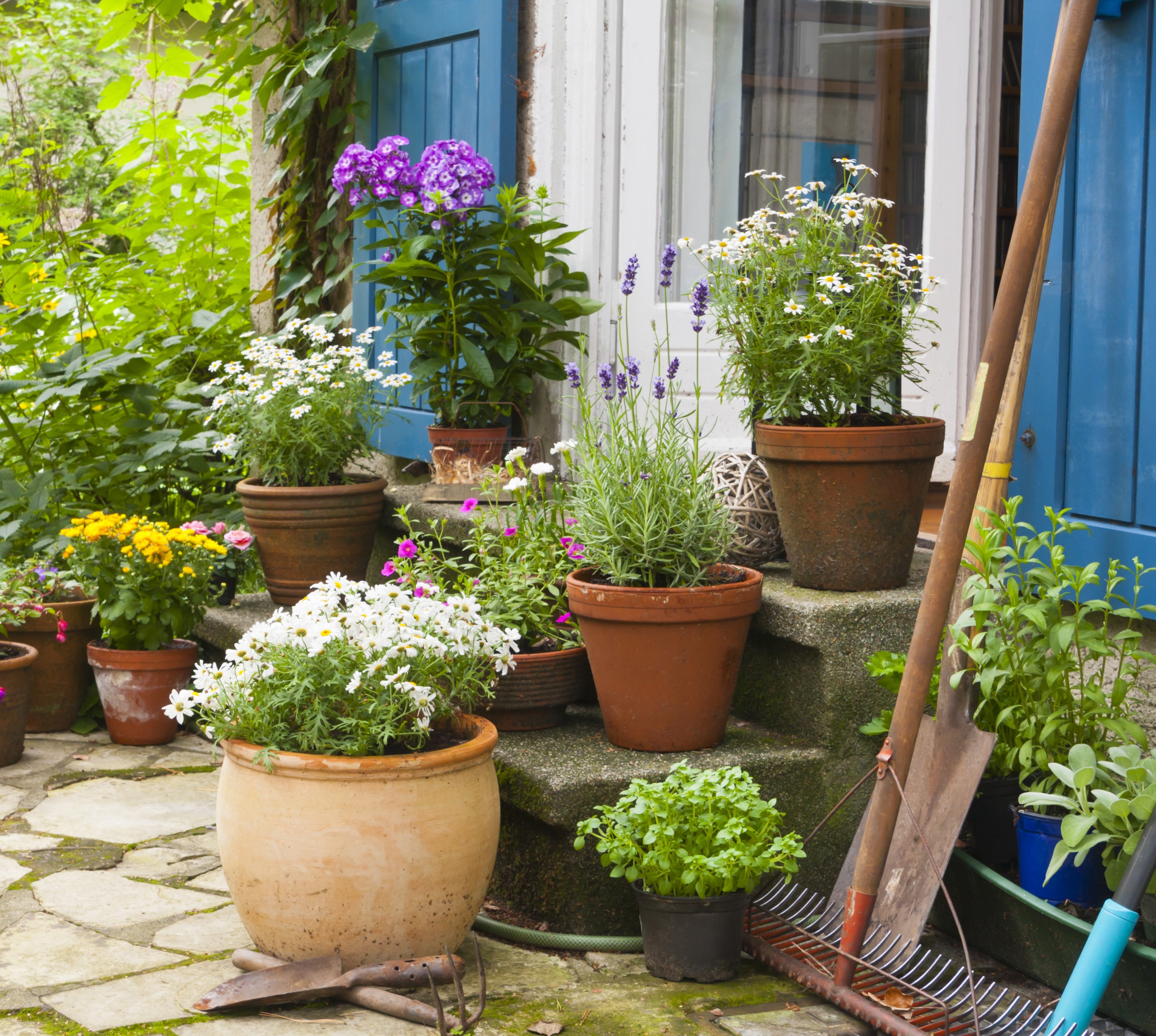 Planters