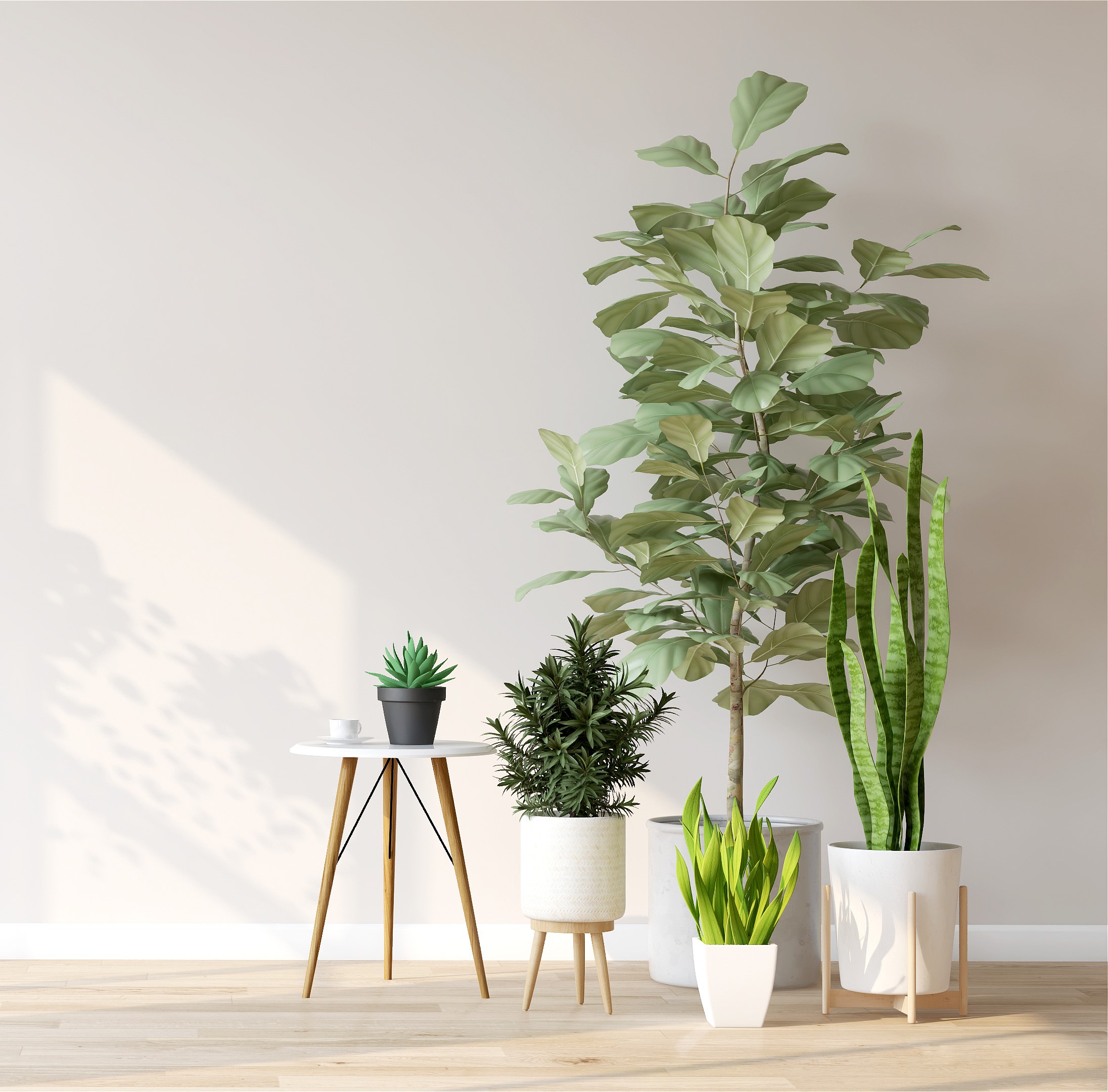 Plant Stands