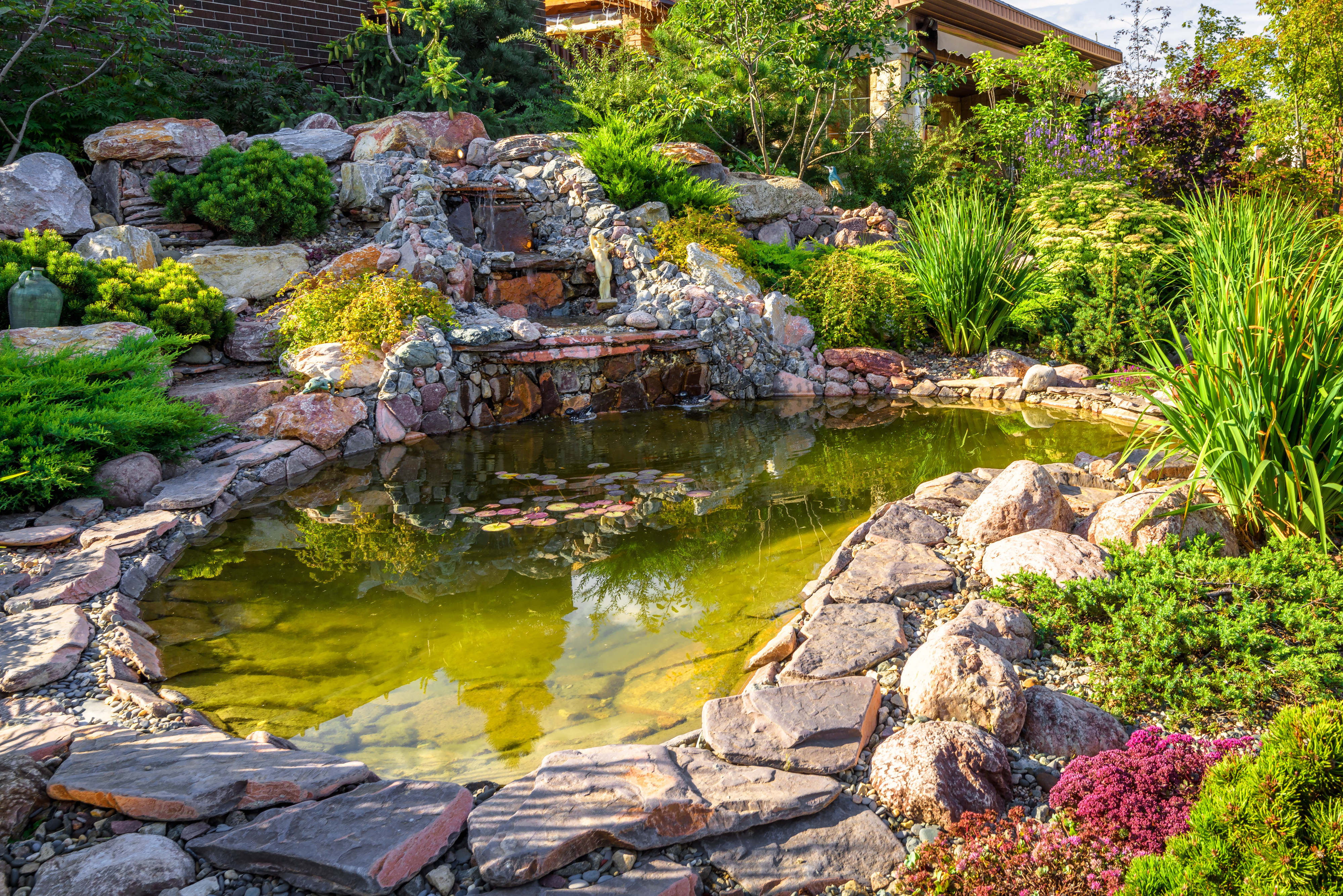 Pond Care & Accessories