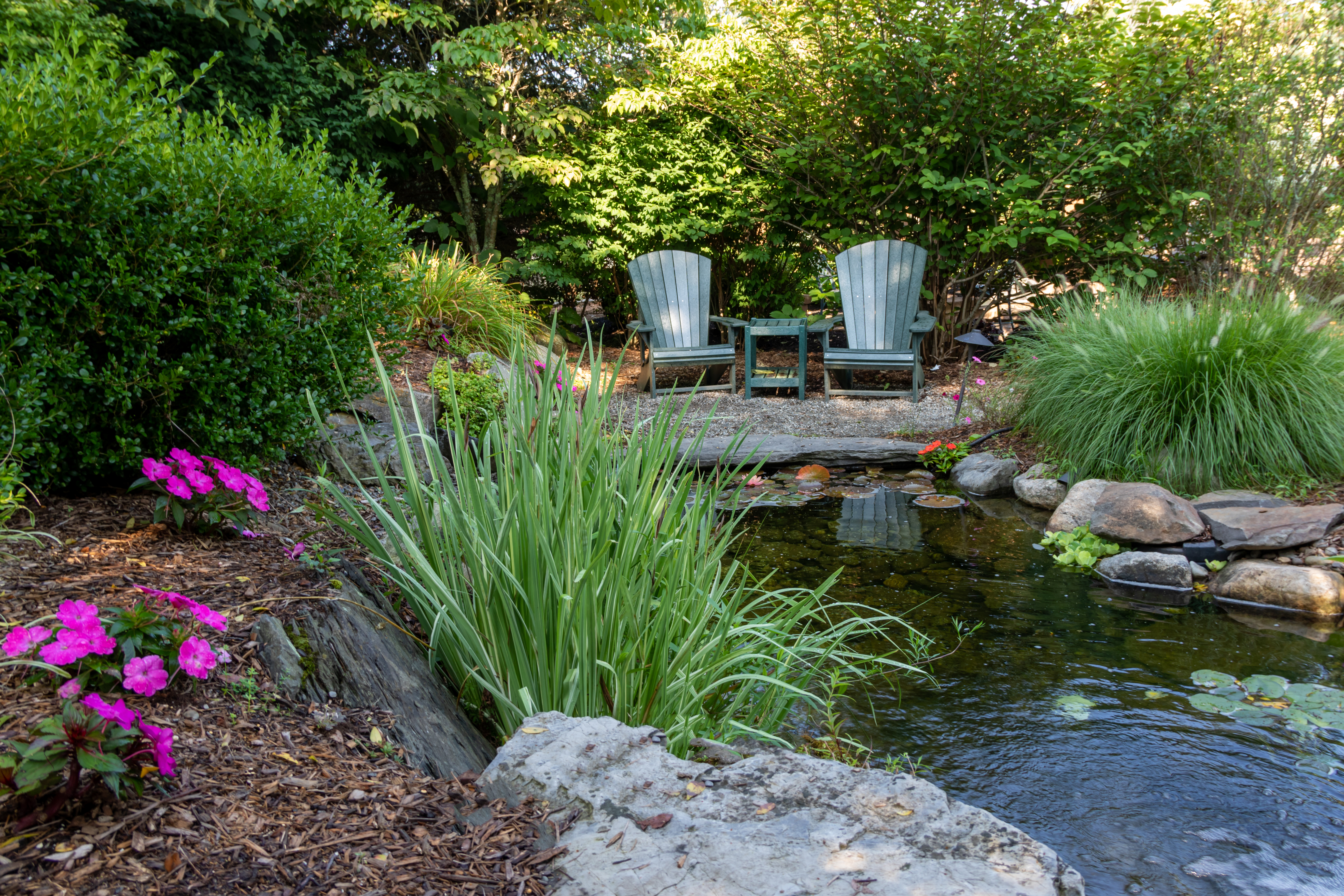 Pond Cleaners