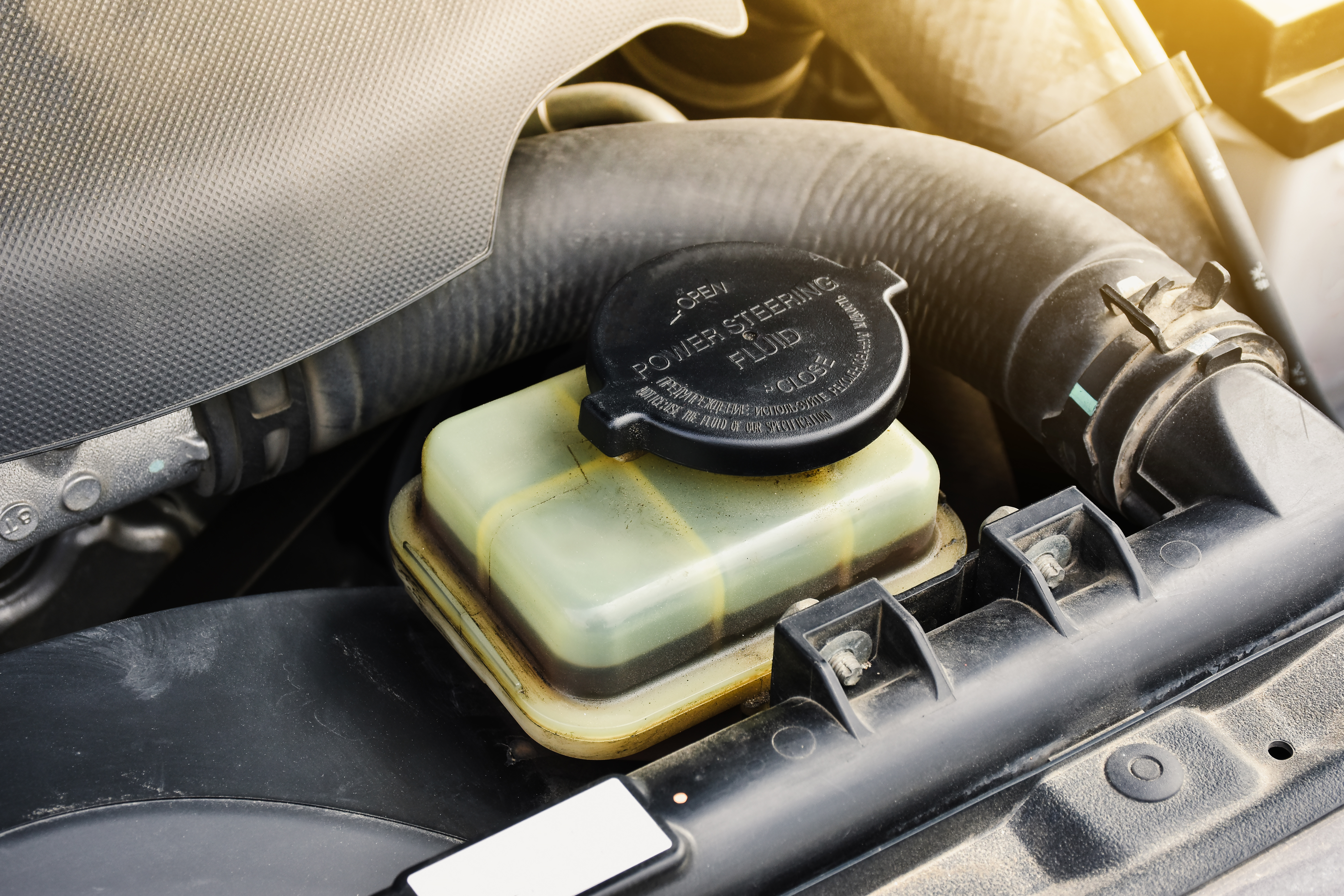 Power Steering & Brake Fluids