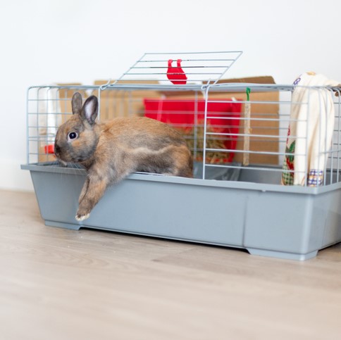 Cages, Habitats & Hutches
