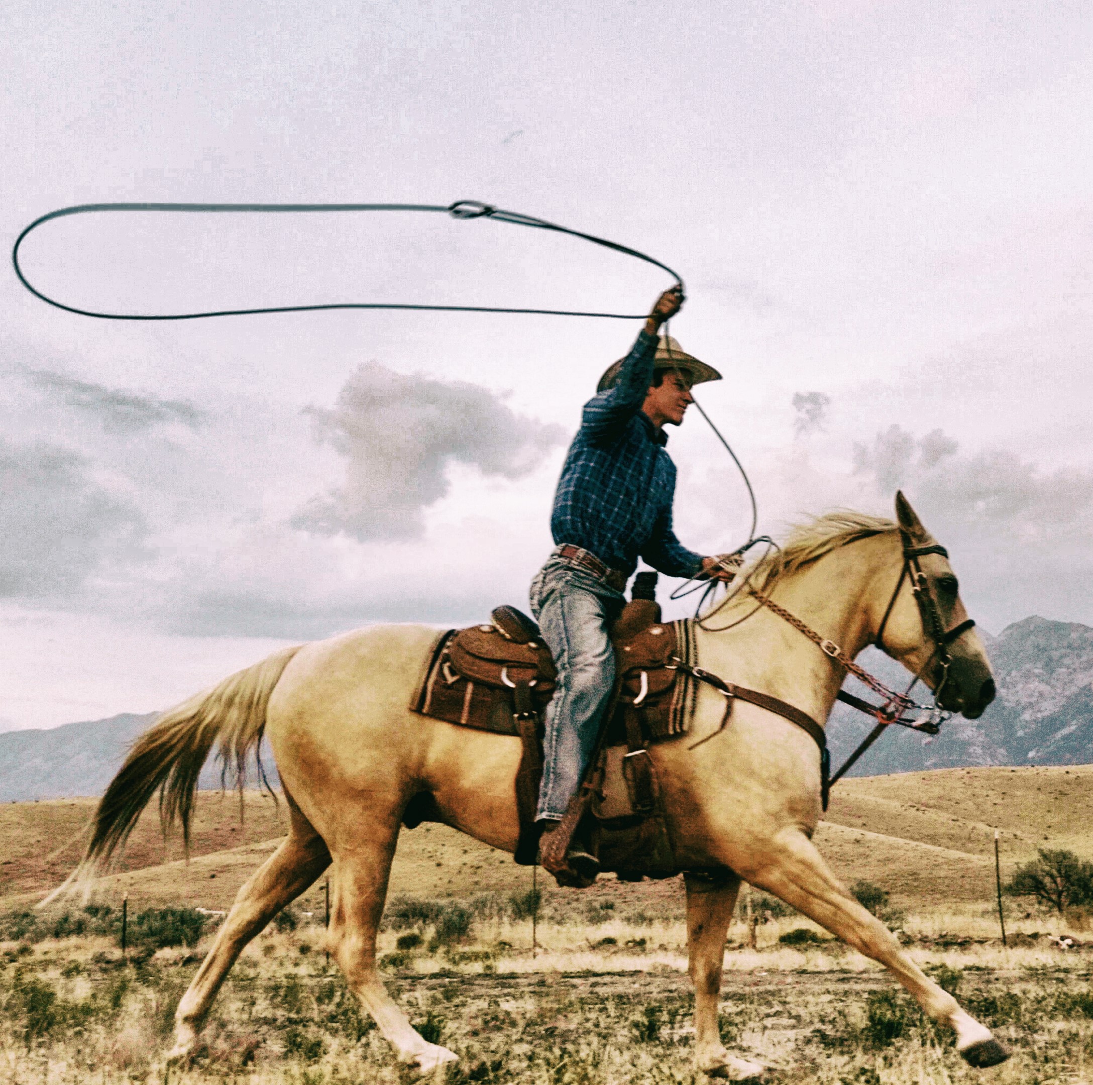 Ropes & Roping Equipment