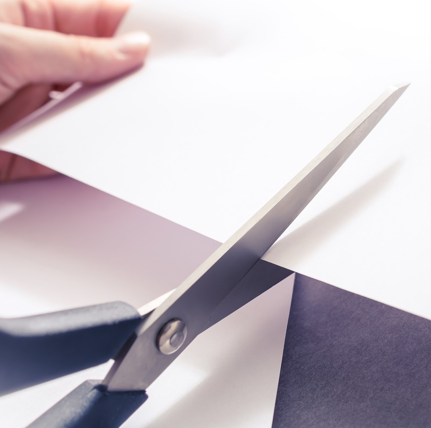 Shears, Scissors & Snips