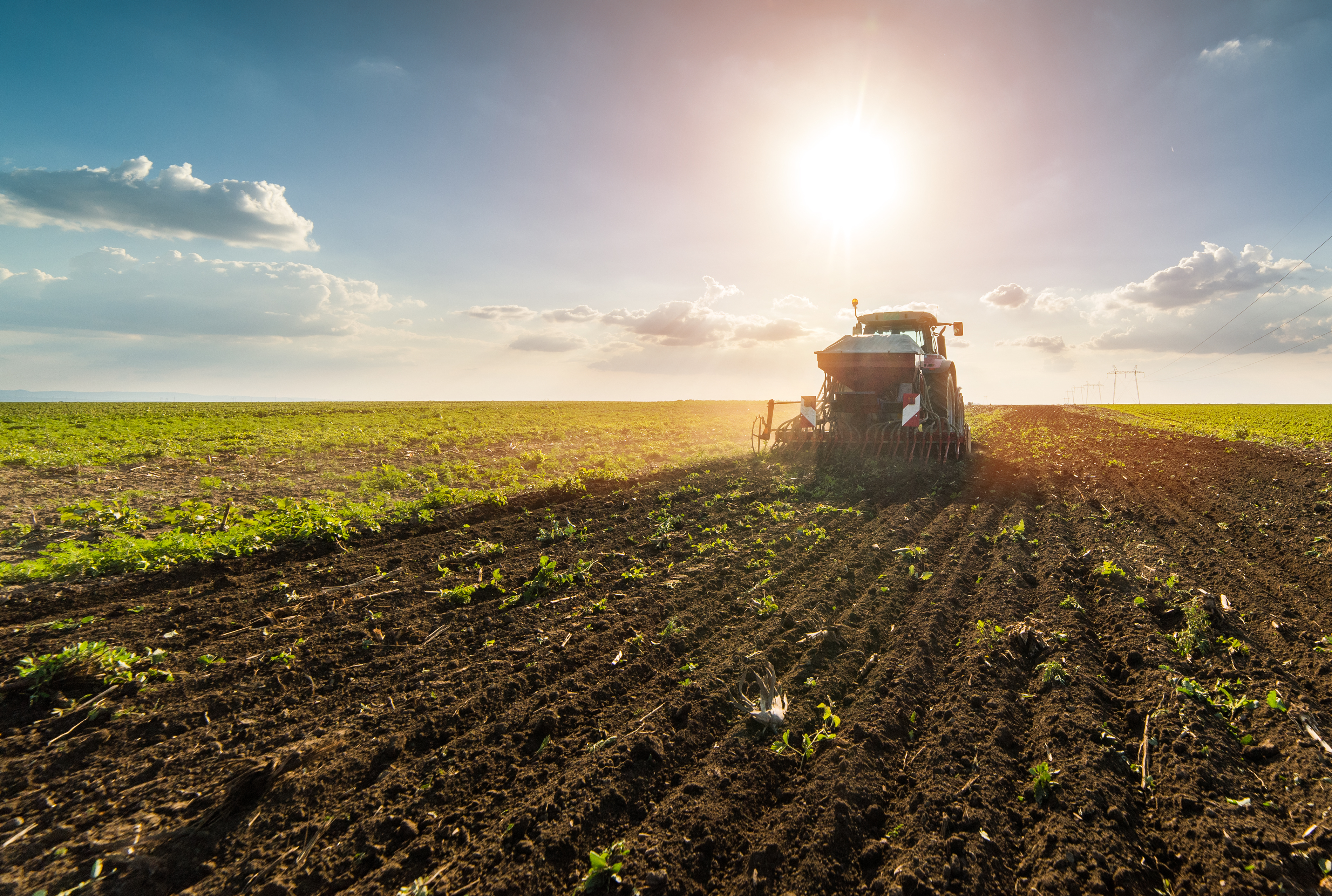 Spreaders & Seeders