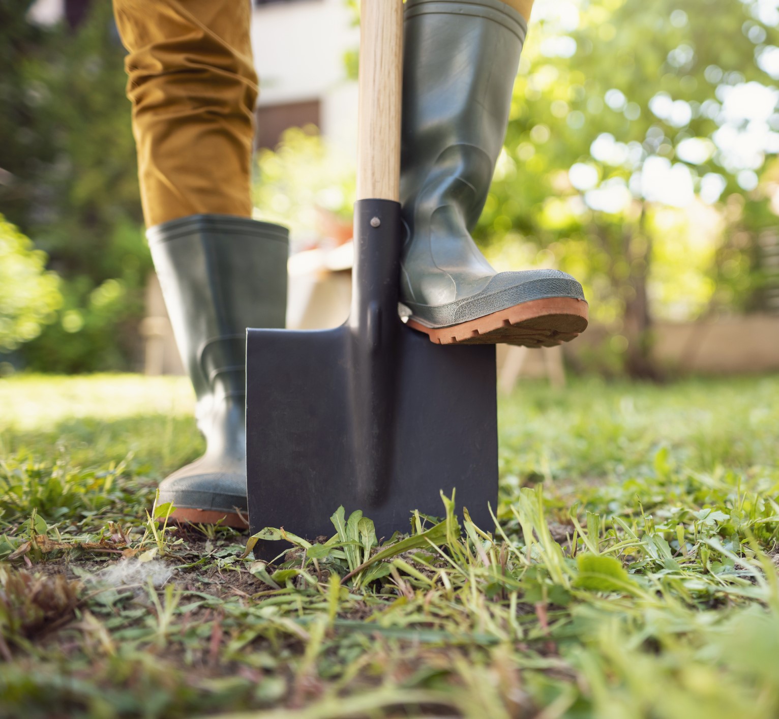 Shovels & Digging Tools