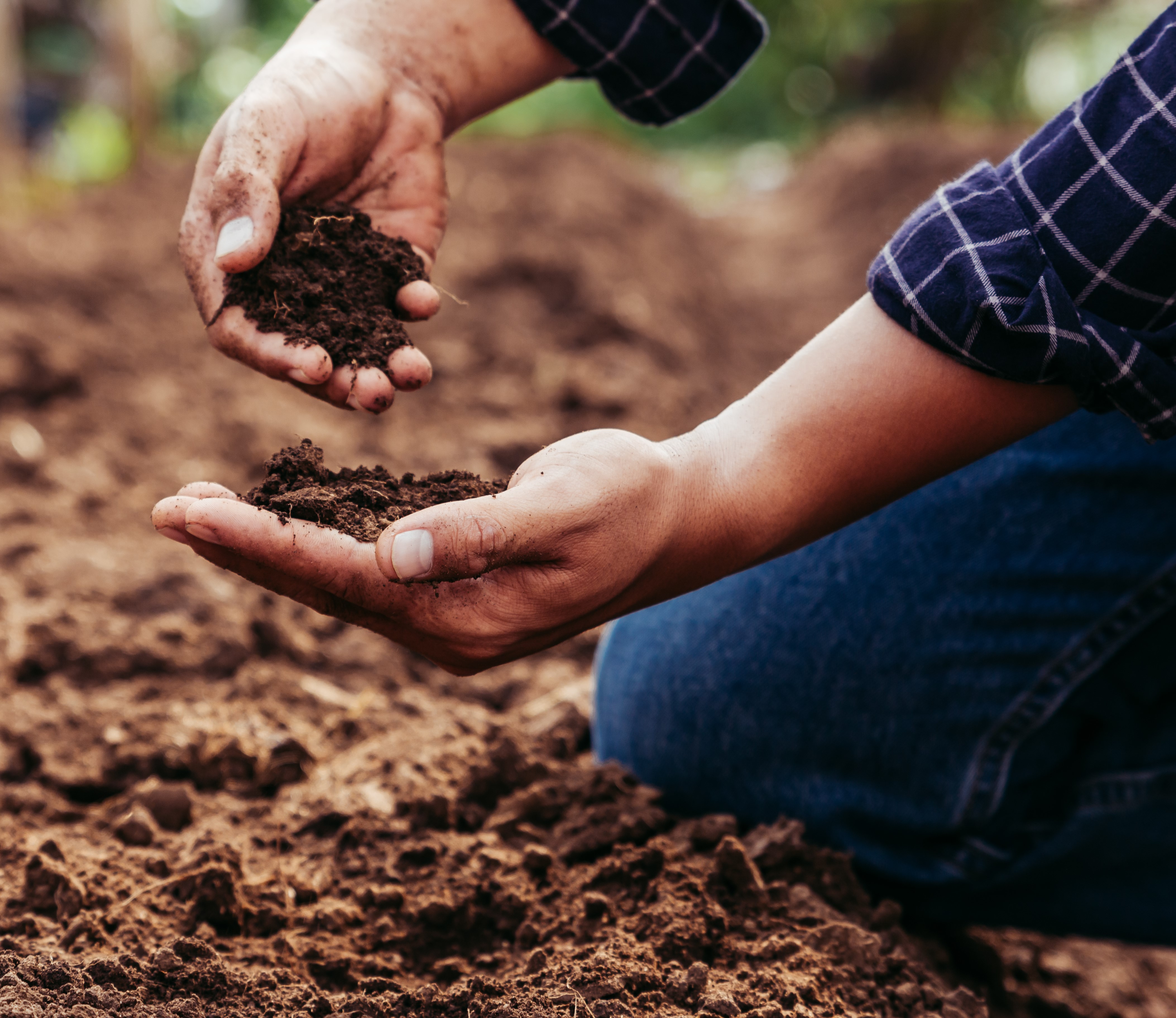 Soil Amendments