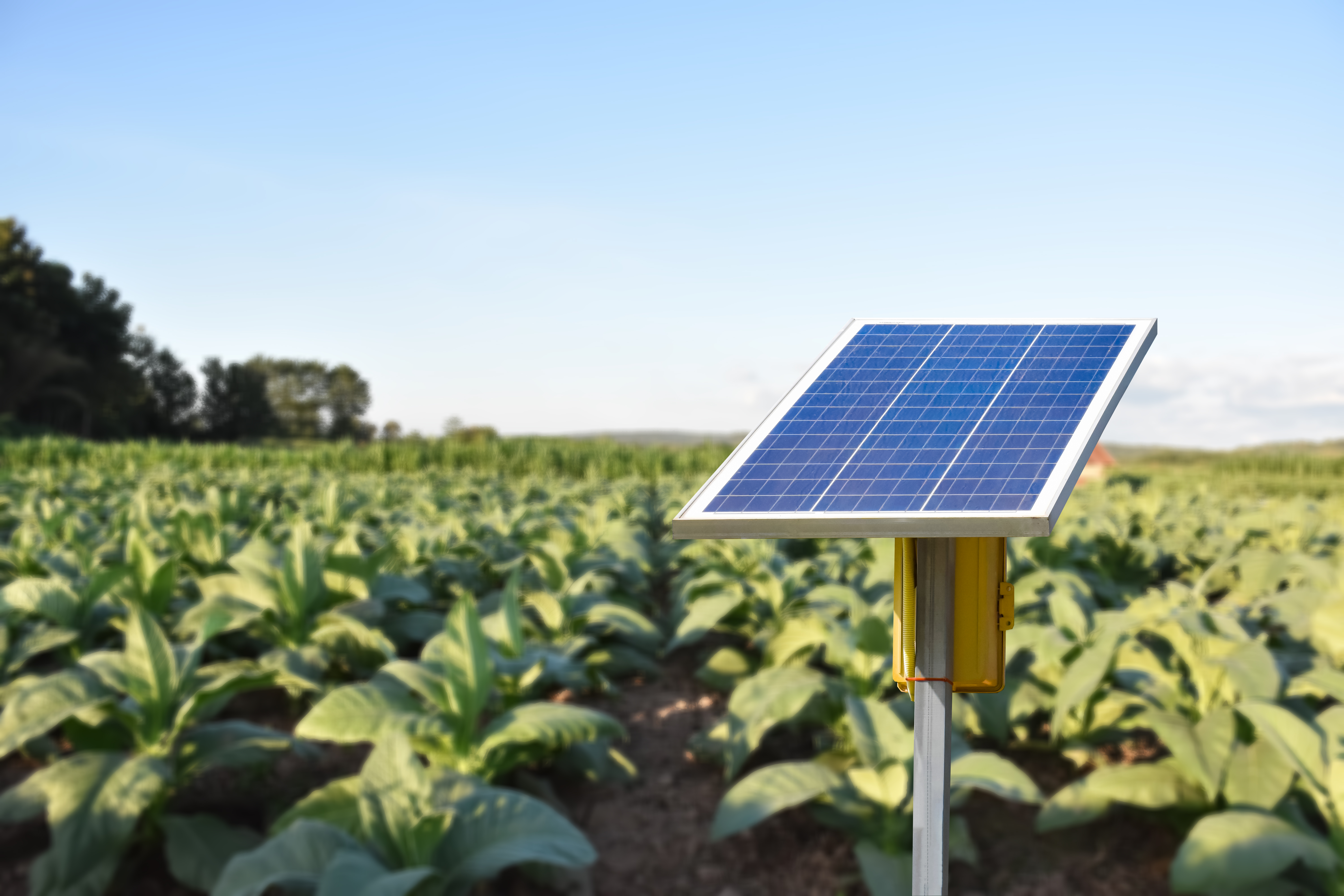 Solar Fence Chargers