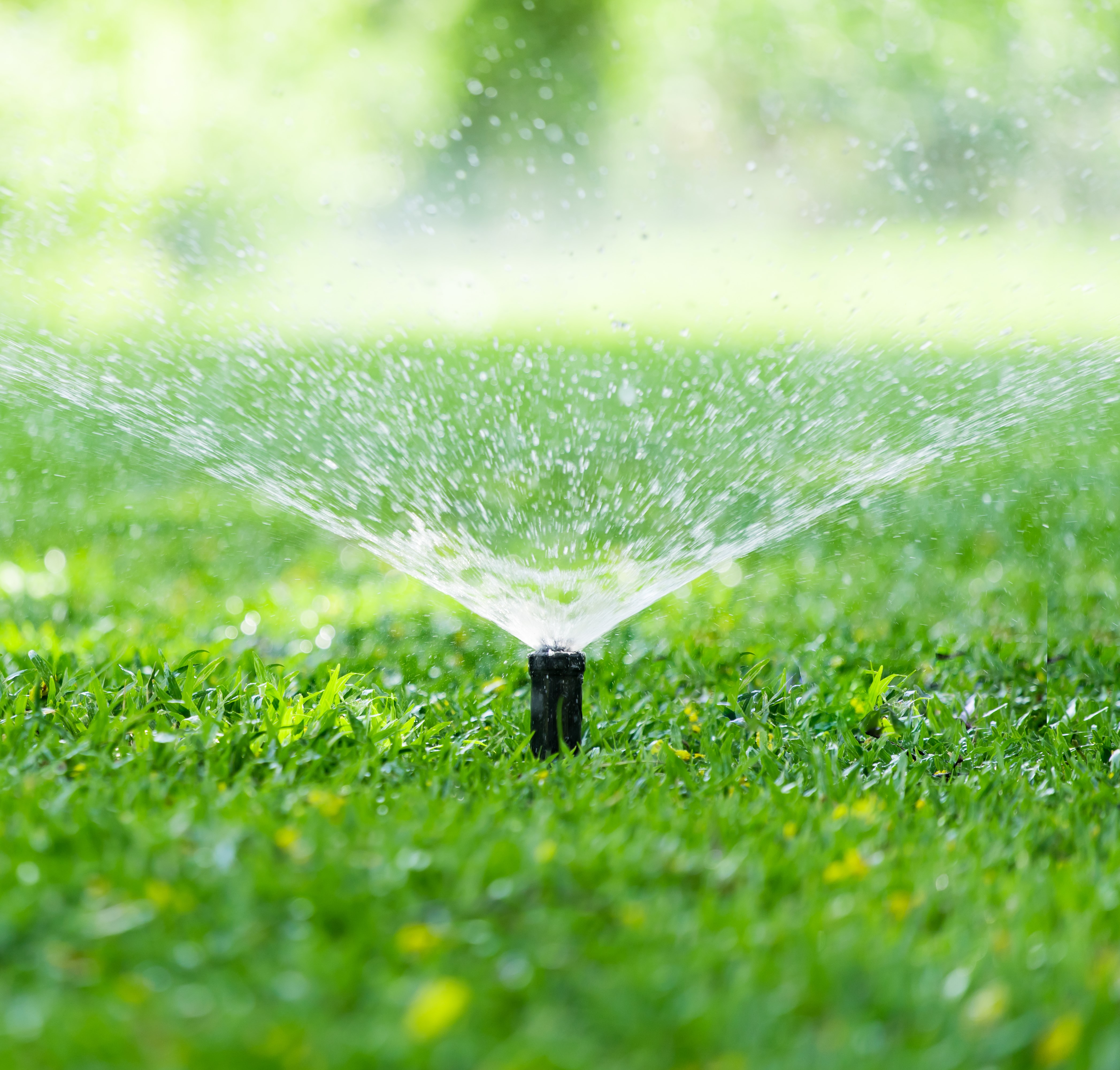 Sprinklers