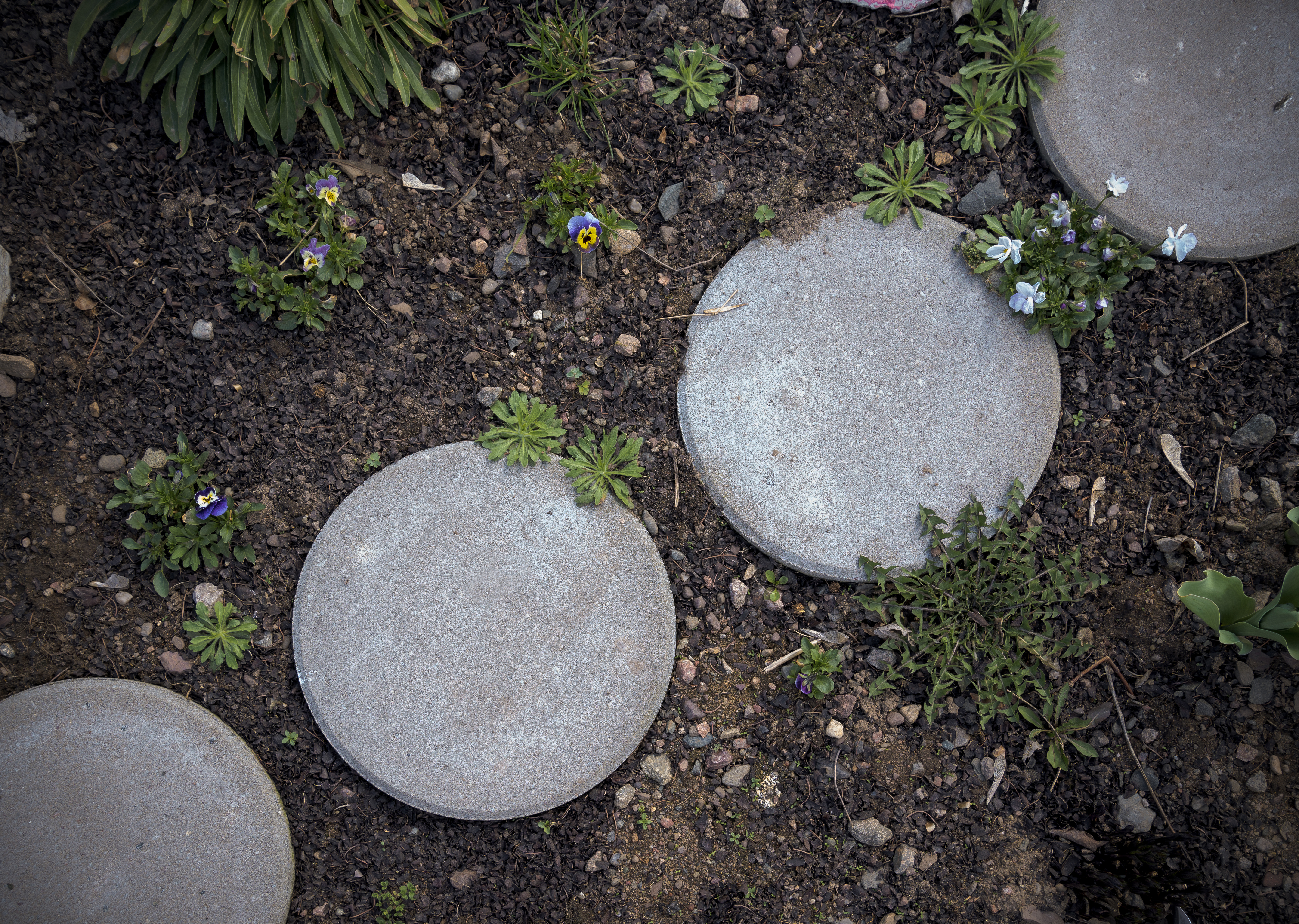 Stepping Stones