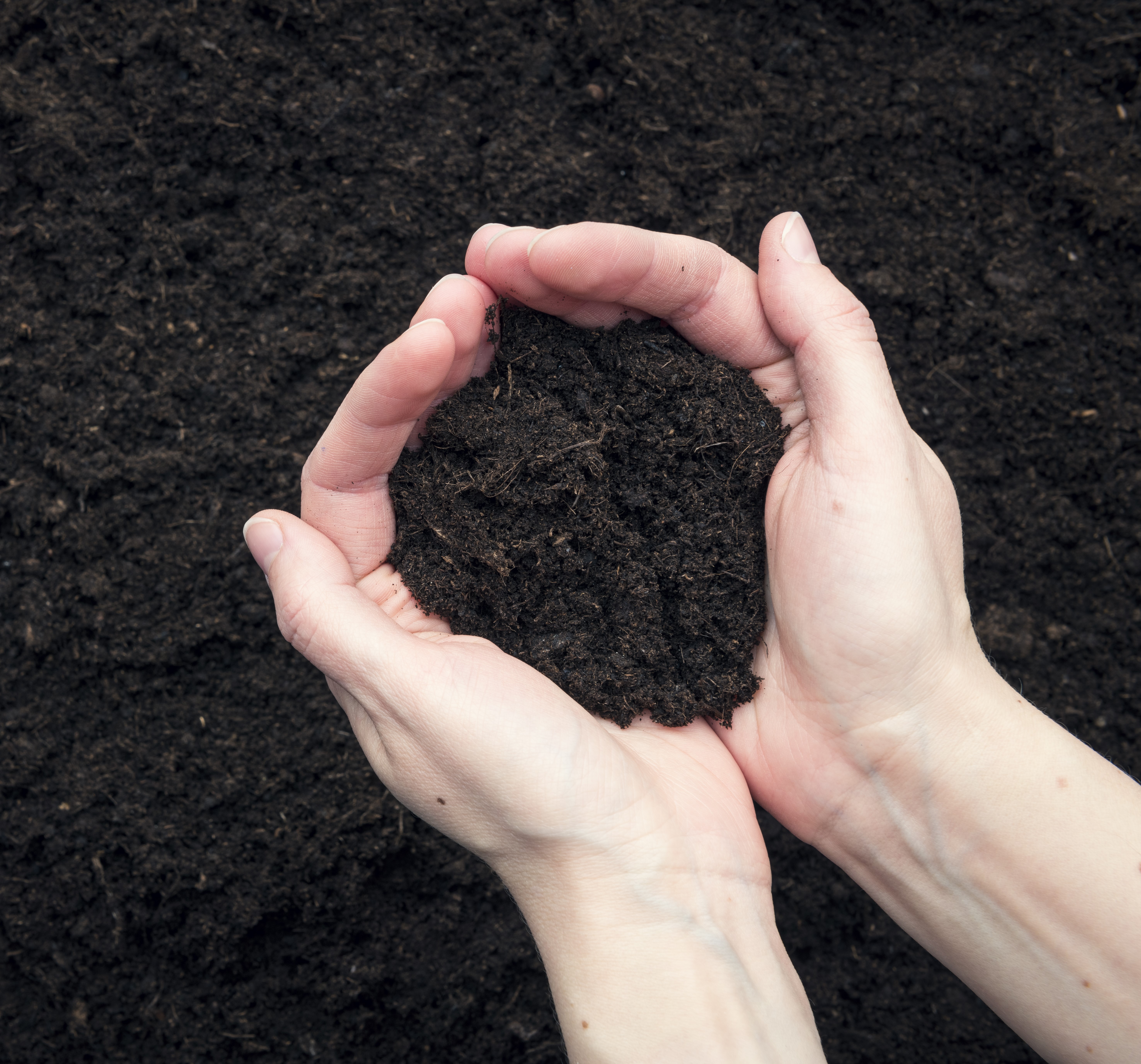 Top Soil