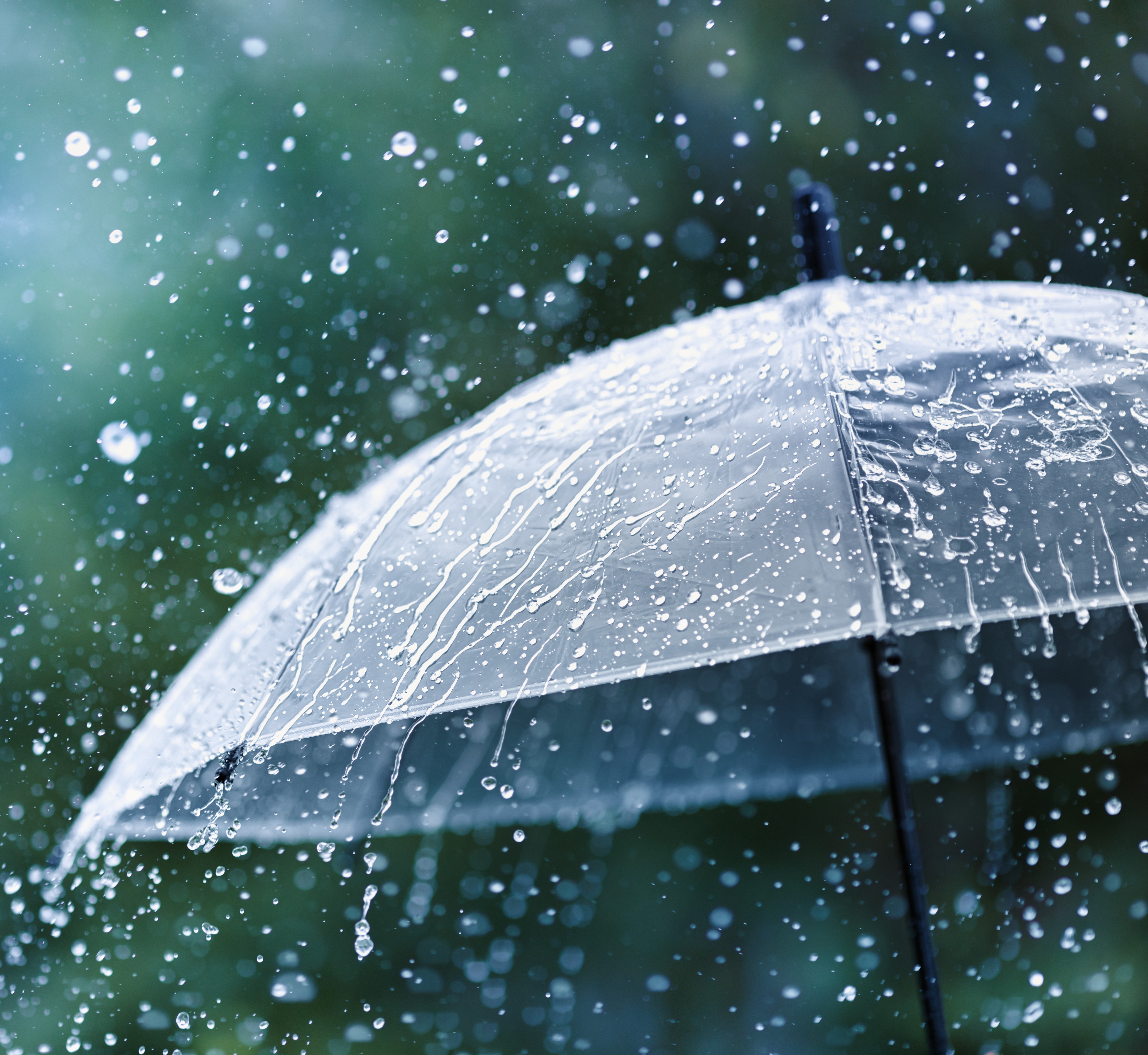Umbrellas