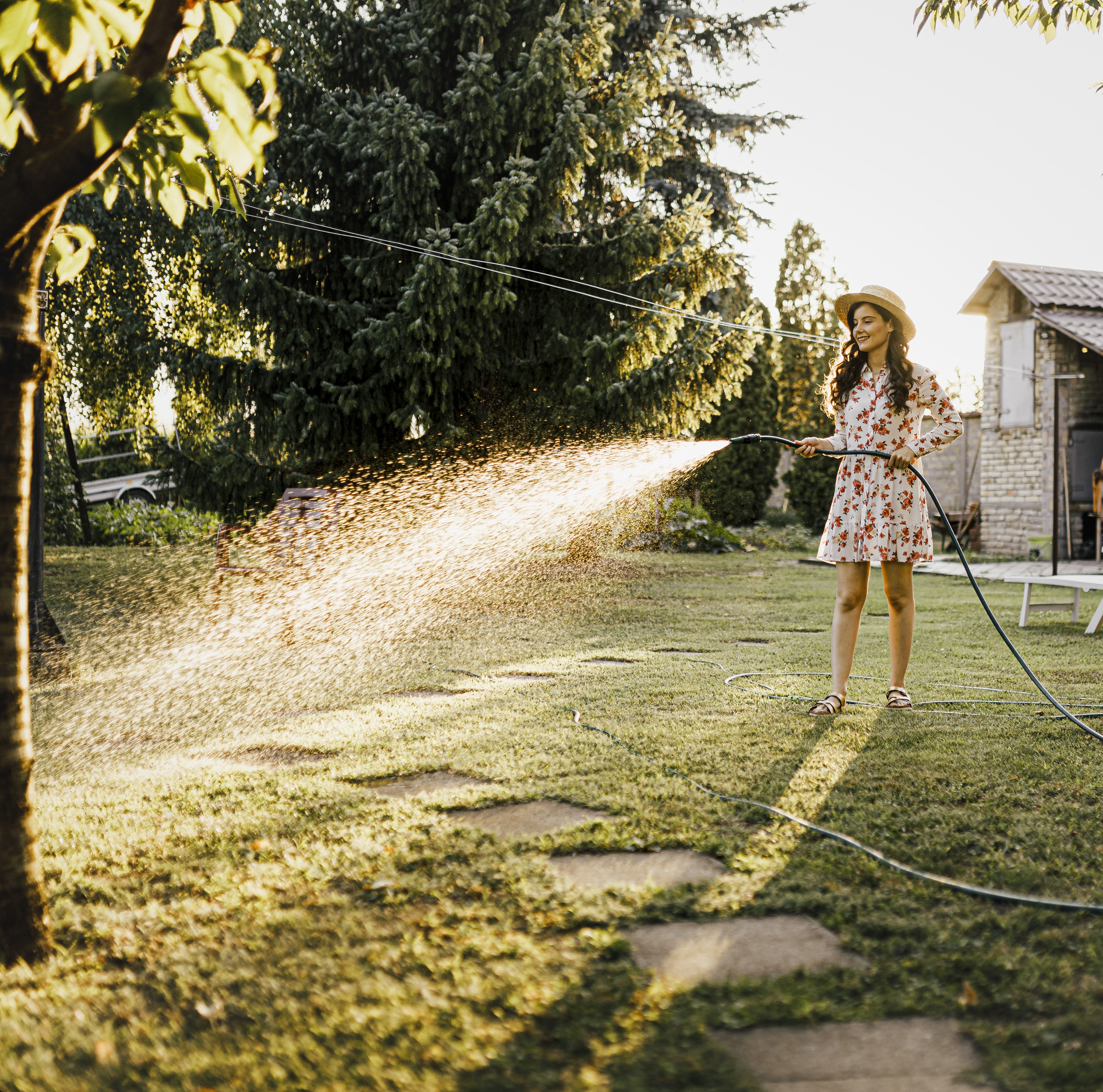 Watering & Irrigation