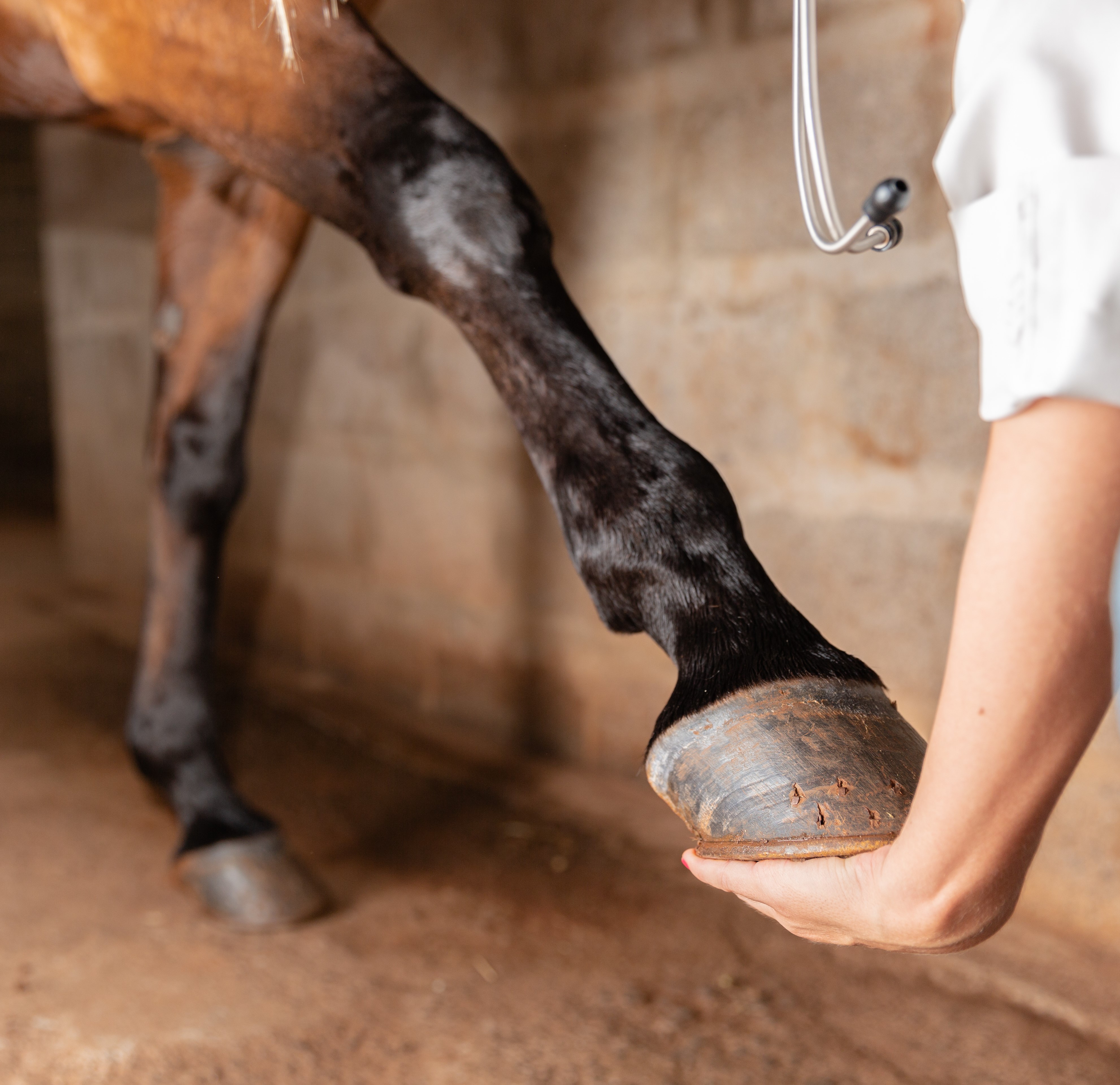 Wound Care