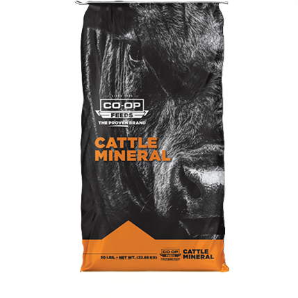 CO-OP FEEDS 96304MA