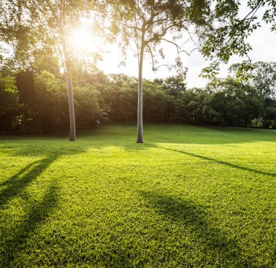 Lawn & Garden Tools