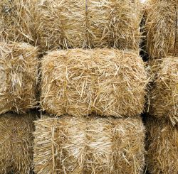 Baler Twine