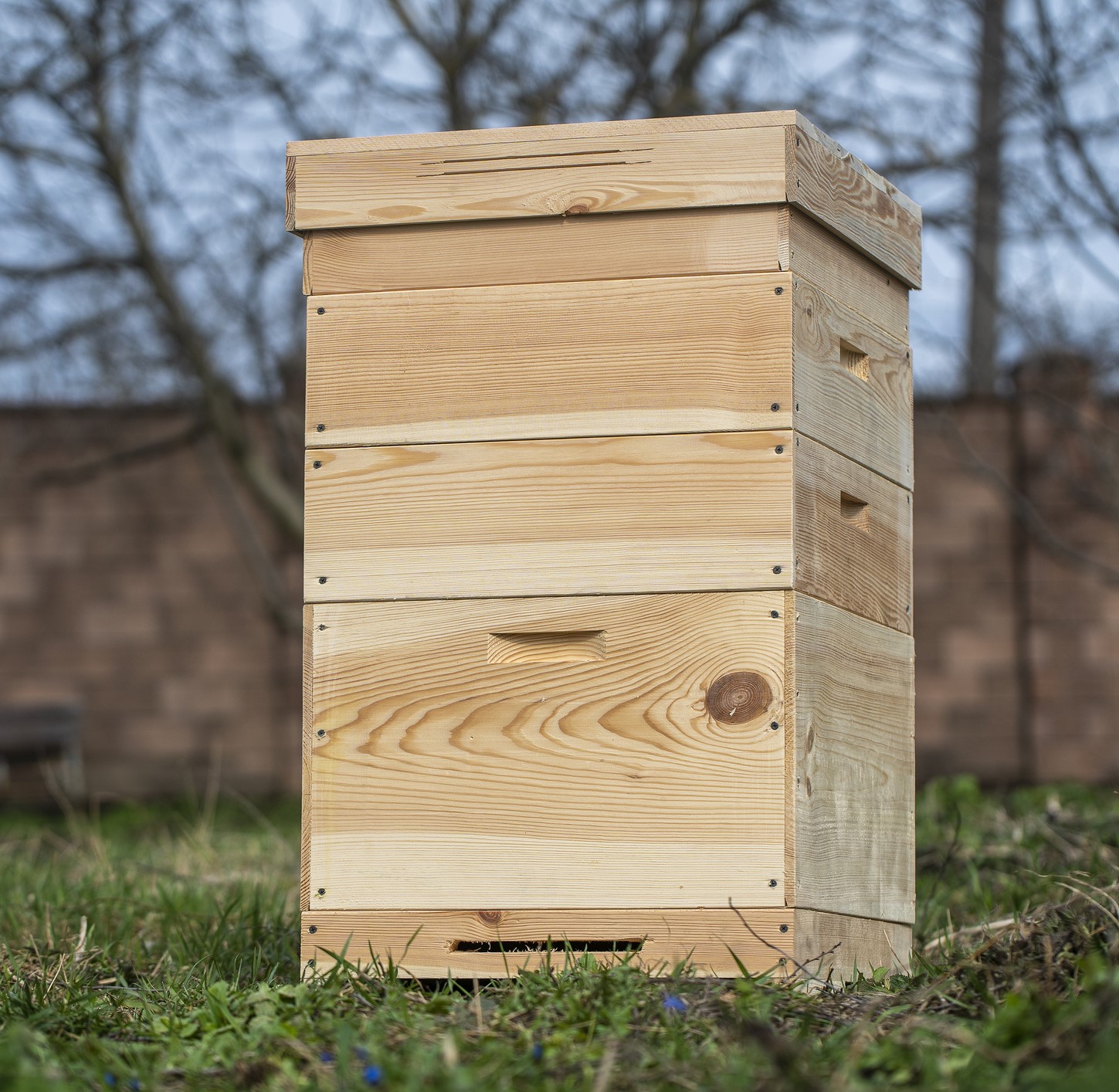 Beehives & Houses