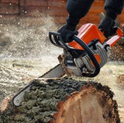 Chainsaws & Accessories