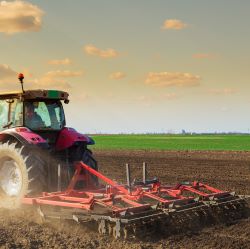 Cultivators & Tillers