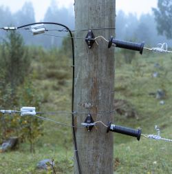 Electric Fence Accessories