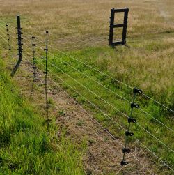 Electric Fence Posts
