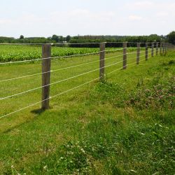 Electric Fencing