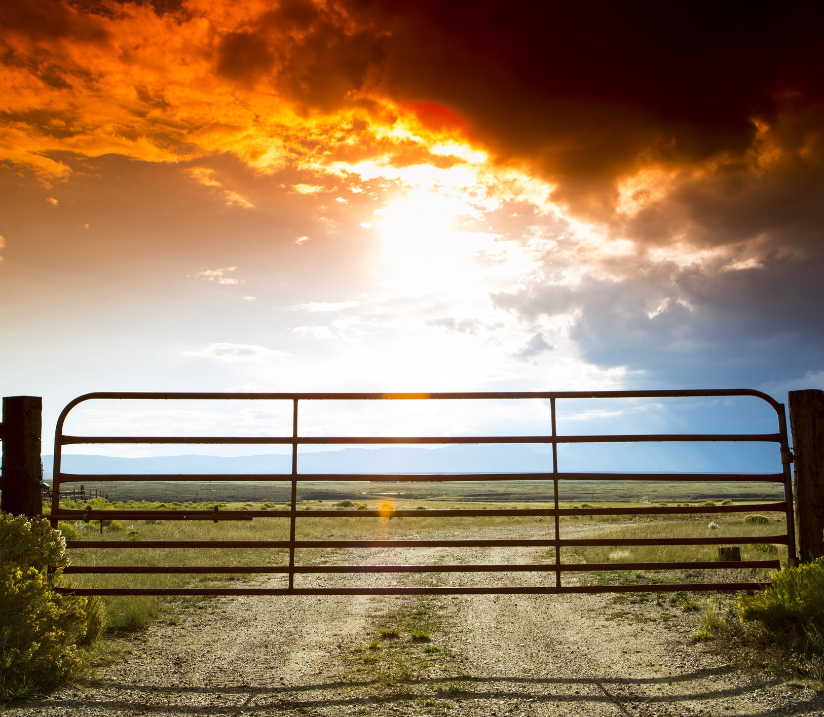 Farm Gates & Accessories