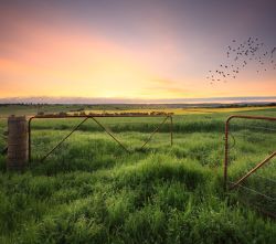 Farm Gates