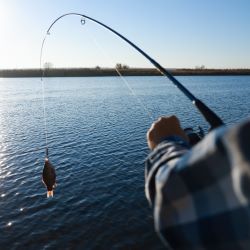 Fishing