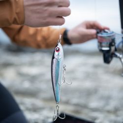 Fishing Lures & Baits