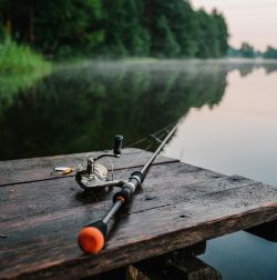 Fishing Rods & Reels