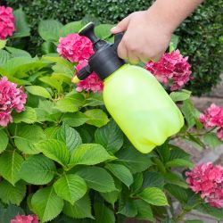 Fungicides