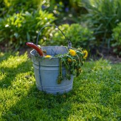 Pails & Tubs
