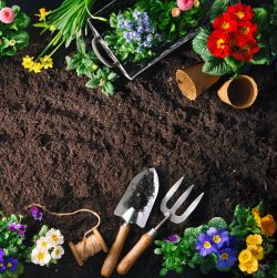 Garden Soil