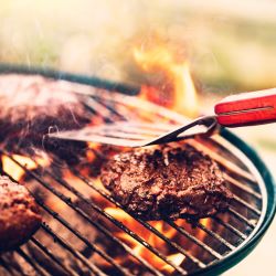 Grill Fuel
