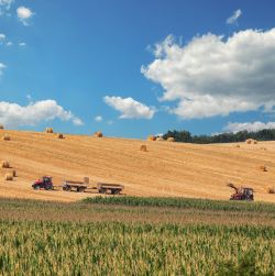 Hay Equipment