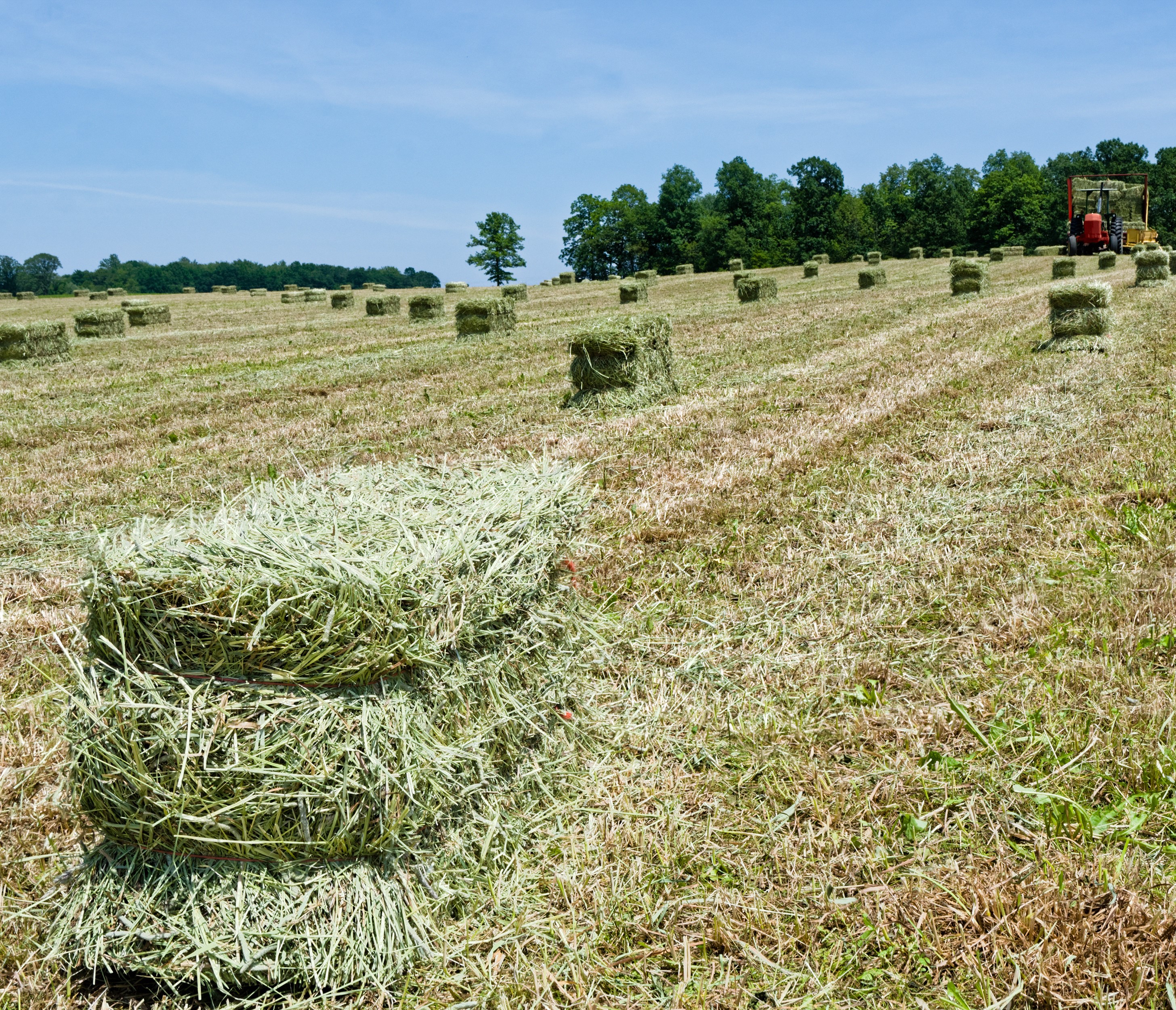 Haying & Harvesting Equipment