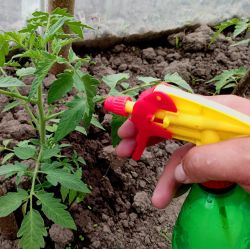 Insect Control