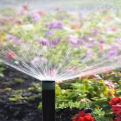 Watering & Irrigation