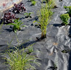 Landscape Fabric