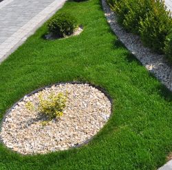 Landscape Edging