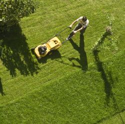 Lawn Mowers