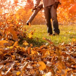Leaf Blowers