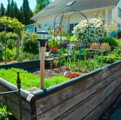 Raised Bed Planters
