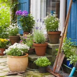 Planters