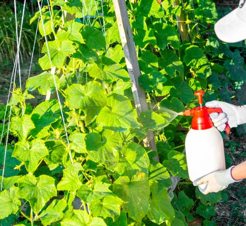 Plant Protection & Support