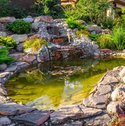 Pond Care & Accessories